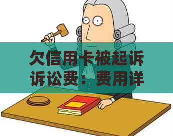 欠信用卡被起诉诉讼费：费用详情、支付困境、退款可能性及是否需要承担