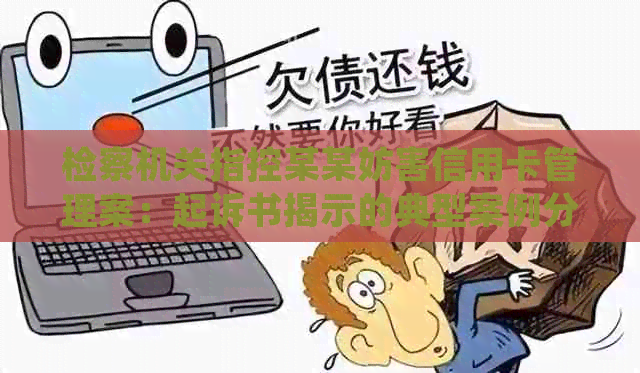 检察机关指控某某妨害信用卡管理案：起诉书揭示的典型案例分析