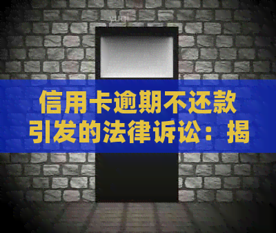 信用卡逾期不还款引发的法律诉讼：揭秘信用风险与刑事责任