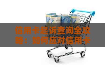 信用卡起诉查询全攻略：如何应对信用卡诉讼、查找相关信息及应对策略