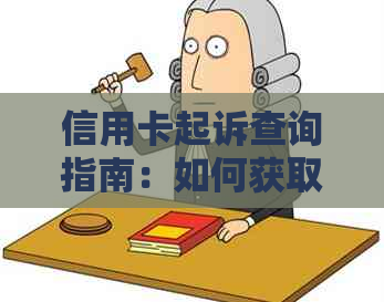 信用卡起诉查询指南：如何获取相关信息、地点及流程