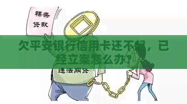 欠平安银行信用卡还不起，已经立案怎么办？