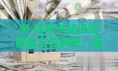 新 信用卡起诉流程全方位解析：原告、被告及诉讼程序详细指南