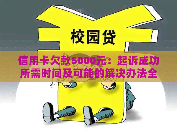 信用卡欠款5000元：起诉成功所需时间及可能的解决办法全面解析