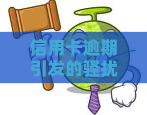 信用卡逾期引发的纠纷：夫妻双方如何     并起诉对方？