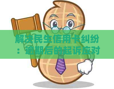 解决民生信用卡纠纷：逾期后的起诉应对策略