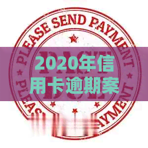 2020年信用卡逾期案例分析：应对银行起诉与立案的有效策略