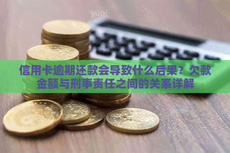 信用卡逾期还款会导致什么后果？欠款金额与刑事责任之间的关系详解