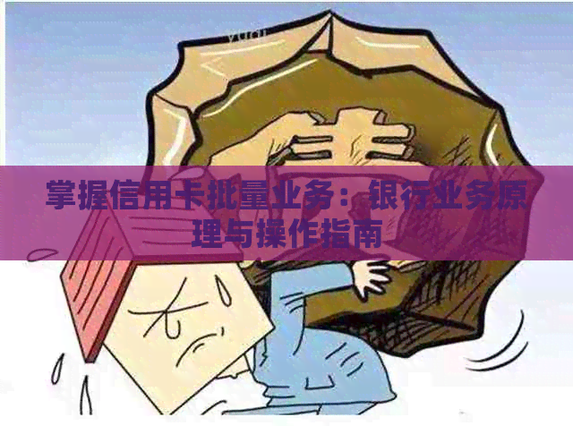 掌握信用卡批量业务：银行业务原理与操作指南