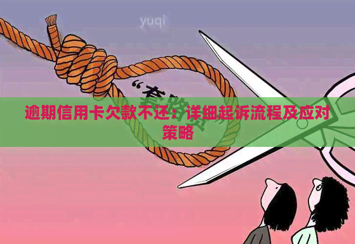 逾期信用卡欠款不还：详细起诉流程及应对策略