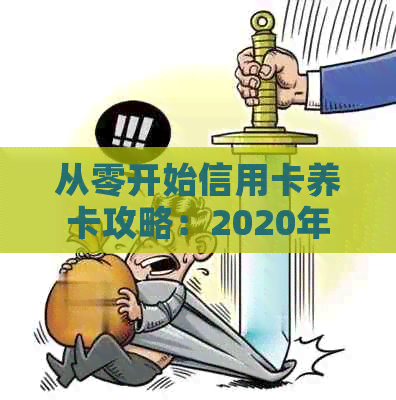 从零开始信用卡养卡攻略：2020年全面指南，教你如何有效管理和提高信用额度