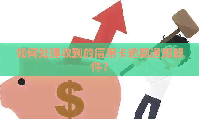 如何处理收到的信用卡逾期通知邮件？