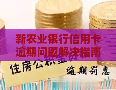 新农业银行信用卡逾期问题解决指南：中心起诉应对策略与建议