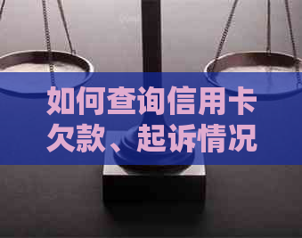 如何查询信用卡欠款、起诉情况以及解决方案，以确保信用卡持有人的权益