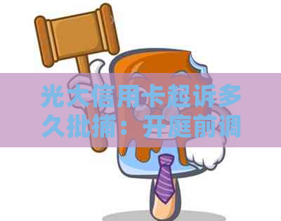 光大信用卡起诉多久批捕：开庭前调解的可能性及时间节点