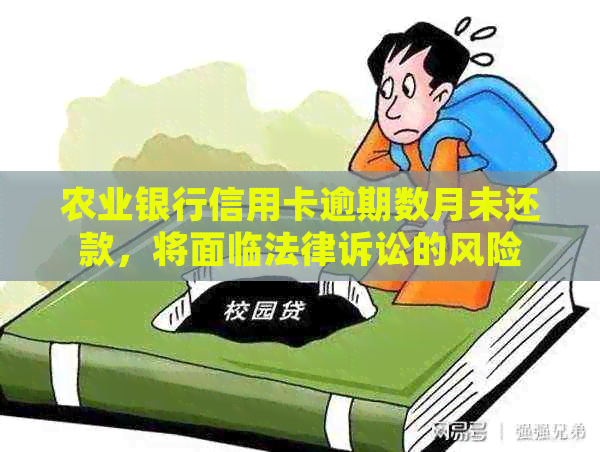 农业银行信用卡逾期数月未还款，将面临法律诉讼的风险