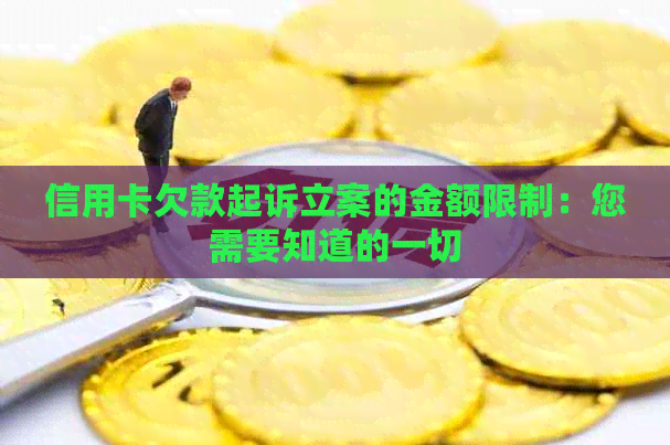 信用卡欠款起诉立案的金额限制：您需要知道的一切