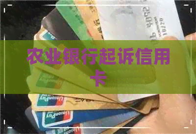 农业银行起诉信用卡