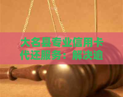 大名县专业信用卡代还服务：解决逾期还款难题，提升信用额度