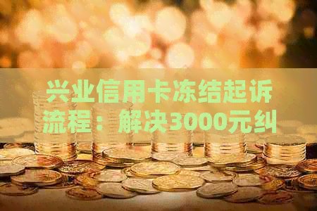 兴业信用卡冻结起诉流程：解决3000元纠纷