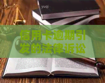 信用卡逾期引发的法律诉讼：全面了解起诉流程与应对策略