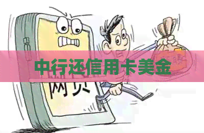 中行还信用卡美金