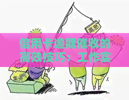信用卡逾期的高效技巧：工作实战经验分享