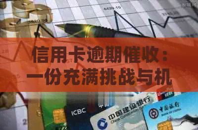 信用卡逾期：一份充满挑战与机遇的职业发展解析
