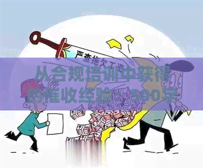 从合规培训中获得的经验：500字深入解析与实际应用