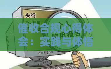 合规心得体会：实践与体悟