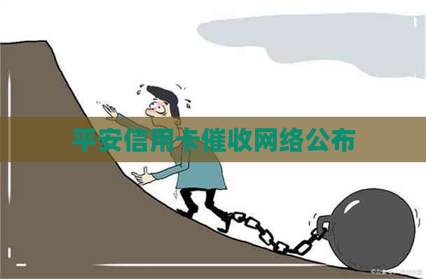 平安信用卡网络公布
