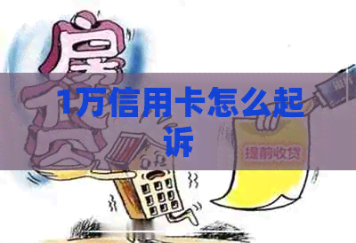 1万信用卡怎么起诉