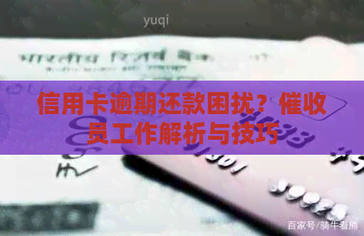 信用卡逾期还款困扰？员工作解析与技巧