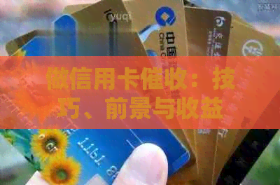 做信用卡：技巧、前景与收益