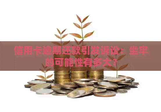 信用卡逾期还款引发诉讼：坐牢的可能性有多大？