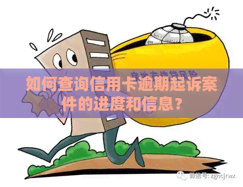 如何查询信用卡逾期起诉案件的进度和信息？