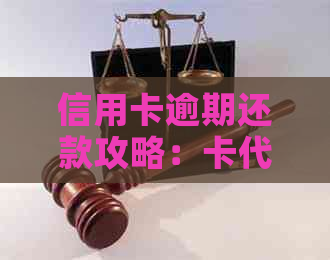 信用卡逾期还款攻略：卡代操作流程、资讯活动一站式解决，让您信用无忧！