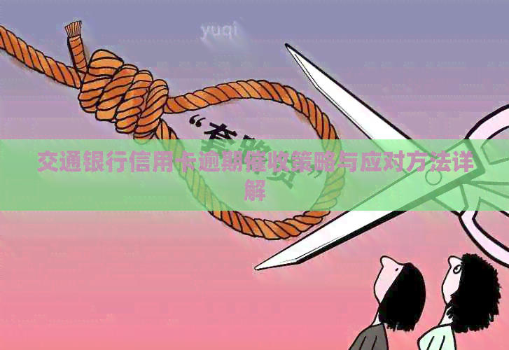 交通银行信用卡逾期策略与应对方法详解