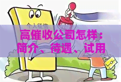 高公司怎样：简介、待遇、试用3天、合法吗？