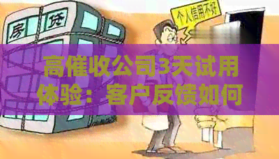 高公司3天试用体验：客户反馈如何？服务效果是否满意？
