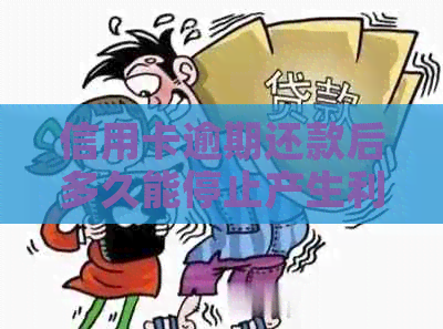 信用卡逾期还款后多久能停止产生利息？