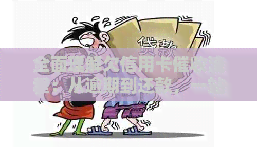 全面理解欠信用卡流程：从逾期到还款，一站解答所有疑问