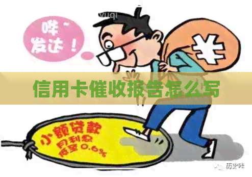 信用卡报告怎么写
