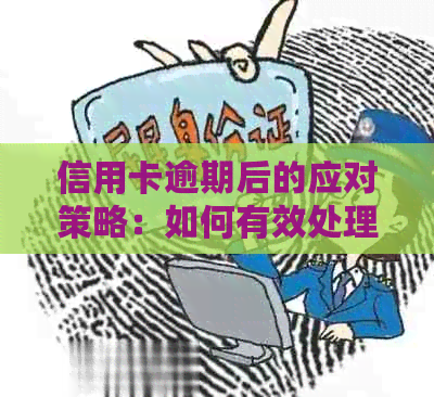 信用卡逾期后的应对策略：如何有效处理起诉问题