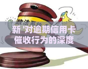 新 '对逾期信用卡行为的深度剖析与反思'
