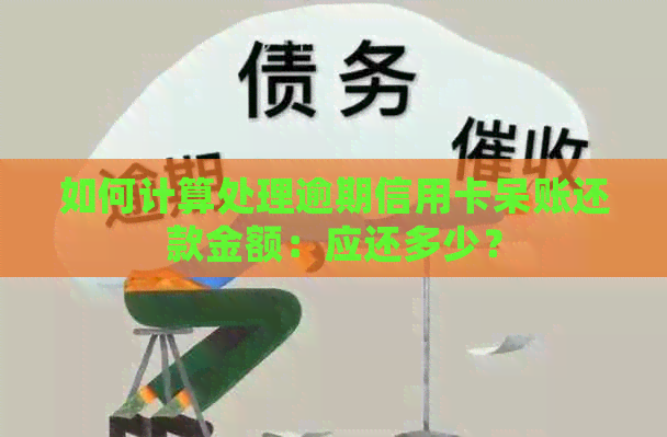 如何计算处理逾期信用卡呆账还款金额：应还多少？