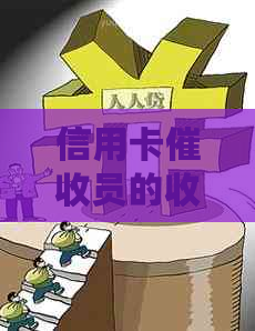 信用卡员的收入水平及其职业发展前景分析