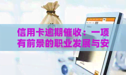 信用卡逾期：一项有前景的职业发展与安全性考量