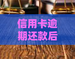 信用卡逾期还款后果及应对策略：起诉是否有效？如何避免信用损失？