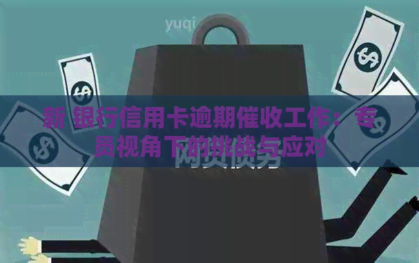 新 银行信用卡逾期工作：专员视角下的挑战与应对
